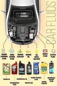 Oil & Fluids Services