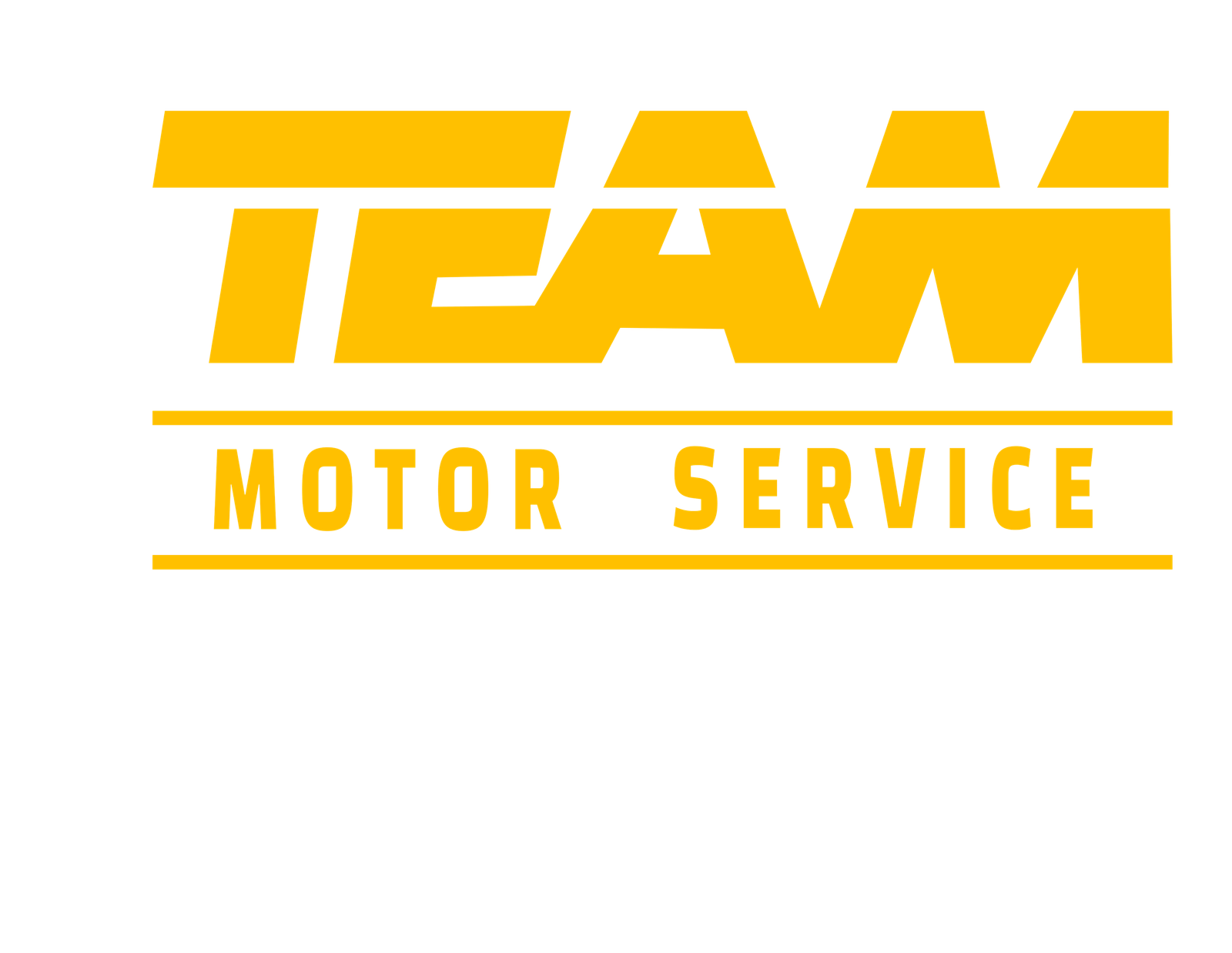 فريق الخدمة لصيانة السيارات